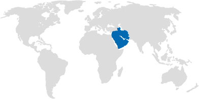 The Middle East